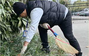 春掃落葉迎新綠，西寶同心繪凈界