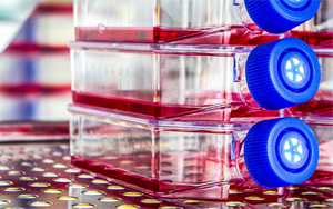 生物制藥與疫苗生產(chǎn)中的細胞培養(yǎng)全流程解決方案