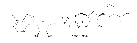 NADH(還原型輔酶I) NADH(還原型輔酶I)
