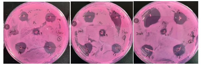 1/250實(shí)驗(yàn)圖片