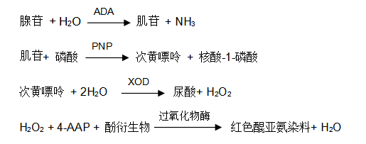 腺苷脫氨酶（ADA）過氧化物酶法檢測(cè)原理