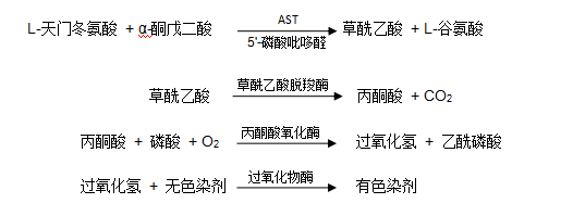 谷草轉(zhuǎn)氨酶（AST/GOT）檢測(cè)原理