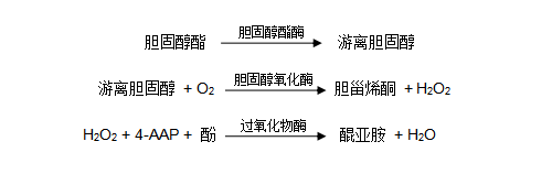 總膽固醇（TC）檢測(cè)原理