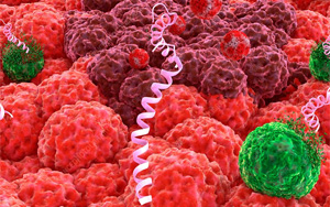 養(yǎng)殖業(yè)“替抗”破局利刃？--抑菌肽