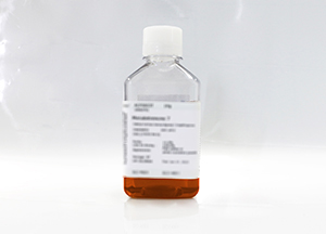 雜交瘤細(xì)胞無(wú)血清培養(yǎng)基