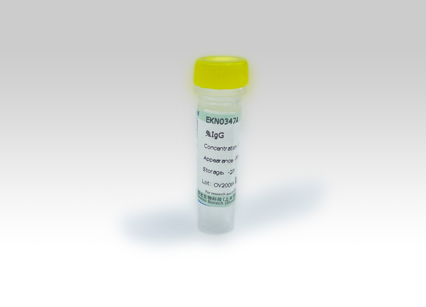 Seebio? 兔IgG