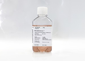 SeeFM01 CHO補料培養(yǎng)基(液體) SeeFM01 CHO補料培養(yǎng)基(液體)