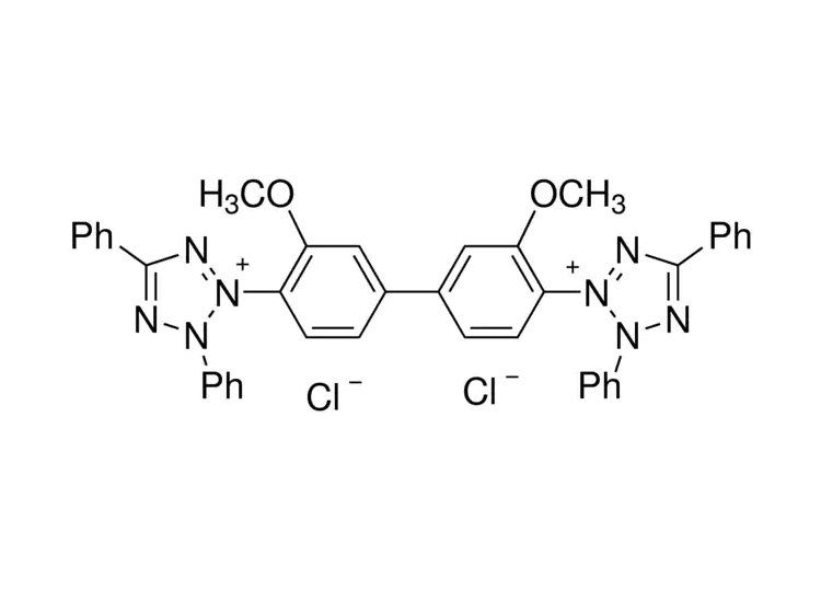 四氮唑藍(lán)(BT) 四氮唑藍(lán)(BT)